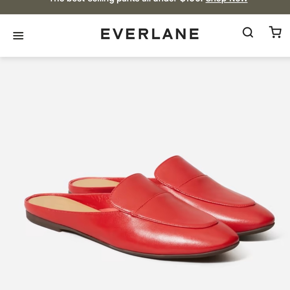 Everlane The Day Loafer Mule